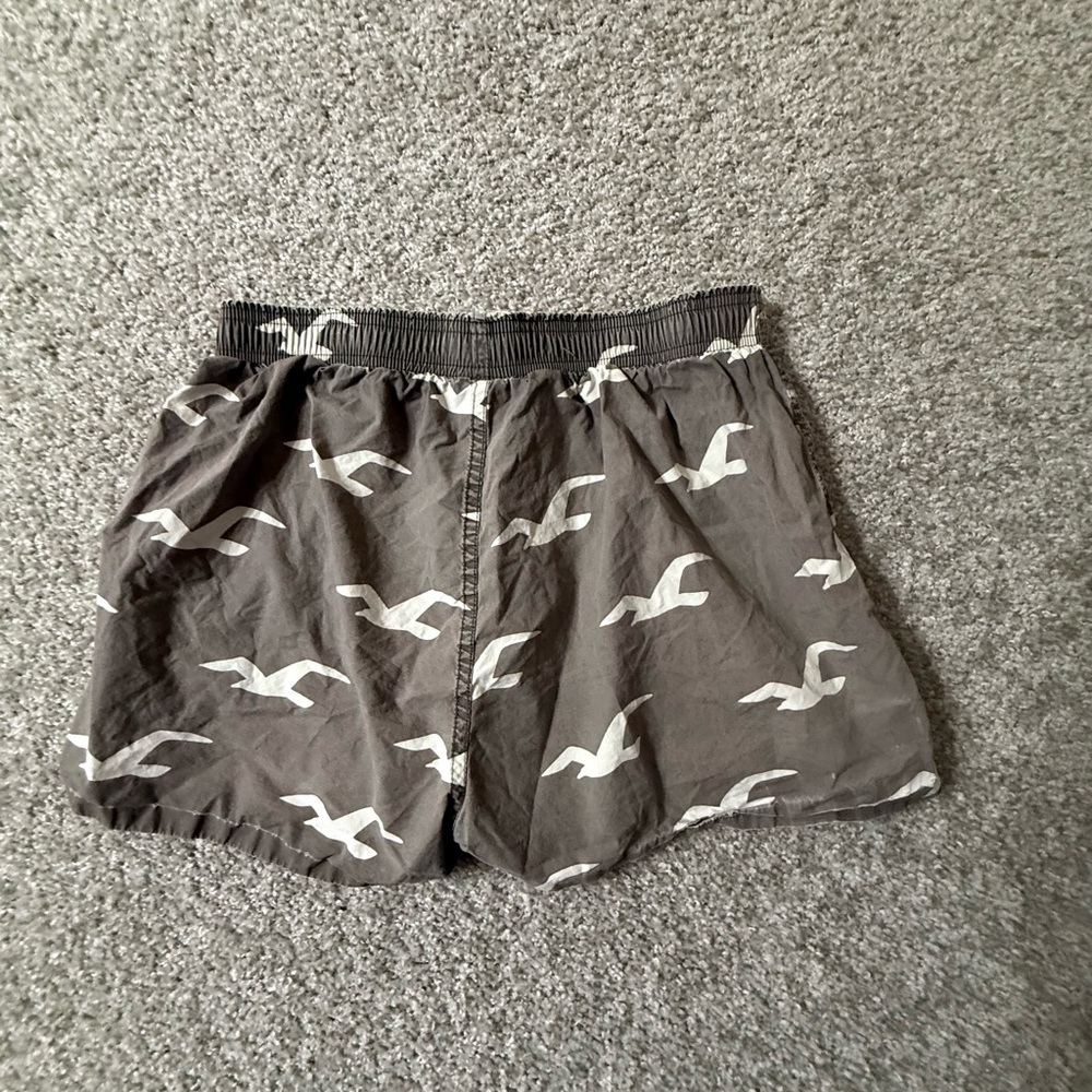 Gray Seagull Print Hollister Boxer Shorts – Size S | 100% Cotton | Like New - Picture 3 of 5